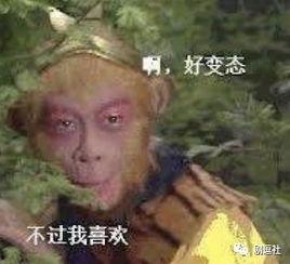 孙悟空吃瓜表情包是什么意思啊